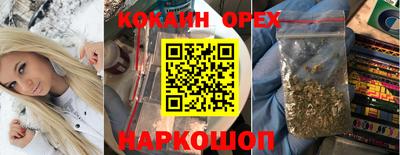 гидра Гатчина
