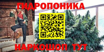 гидра Гатчина
