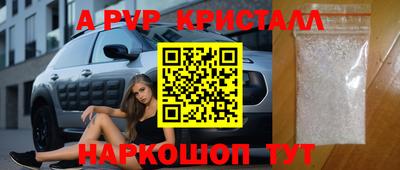 гидра Гатчина