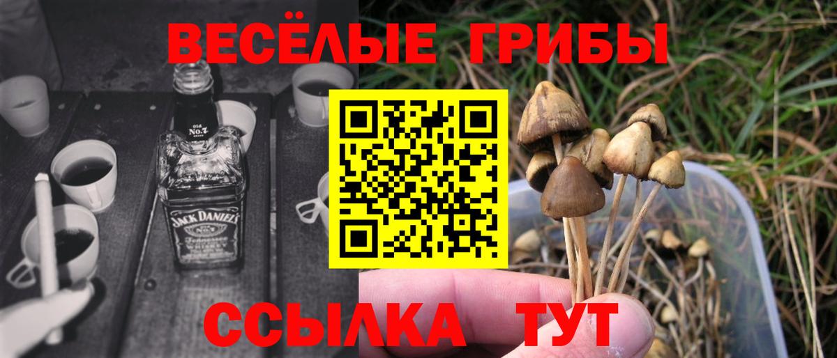 Псилоцибиновые грибы мицелий  Вход с VPN  Губкинский 